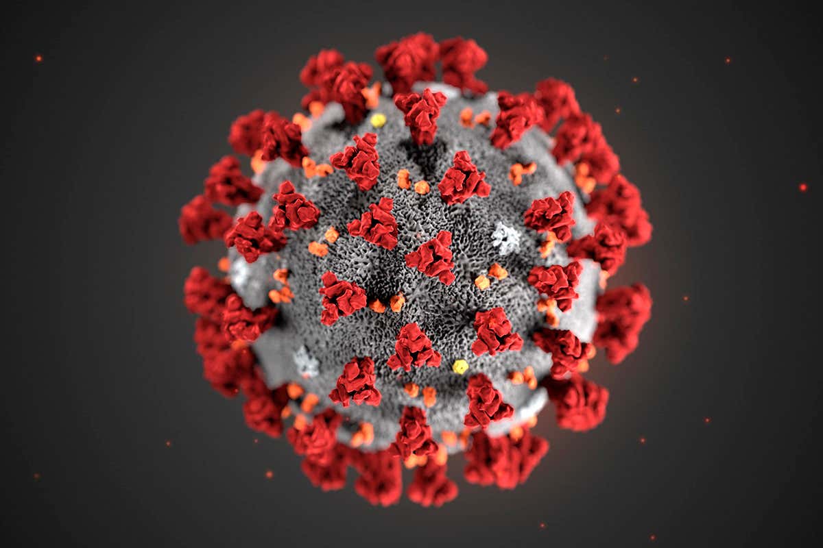 Bill Gates – TED Talk 2015 – Next Outbreak Will Look Very Much Like Coronavirus COVID-19