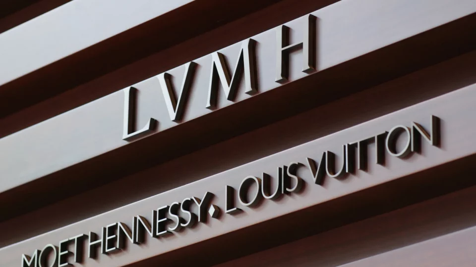 Who Are the Largest Shareholders of LVMH and How Much Do They Own / Control
