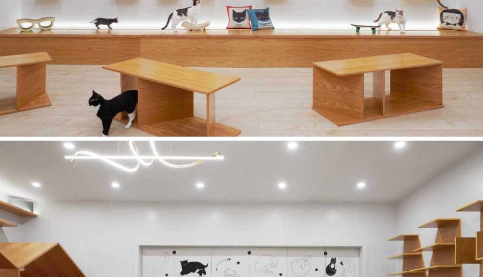 MEOW – Cat Cafe In New York Looks Amazing!